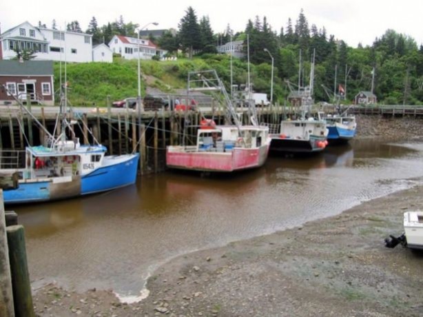 Foto - İnanılmaz görüntüler