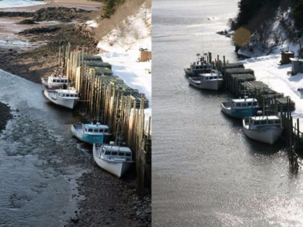 Foto - İnanılmaz görüntüler