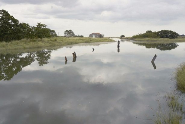 Foto - İnanılmaz görüntüler