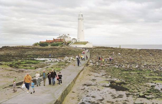Foto - İnanılmaz görüntüler