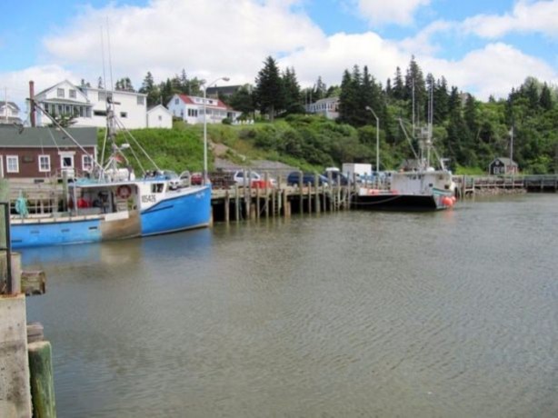 Foto - İnanılmaz görüntüler