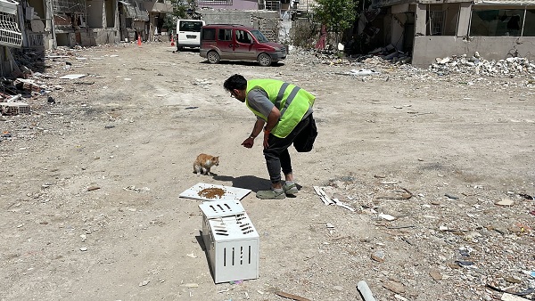 Foto - İnanılmaz olay | 76 gün sonra gelen ‘Ecevit’ mucizesi