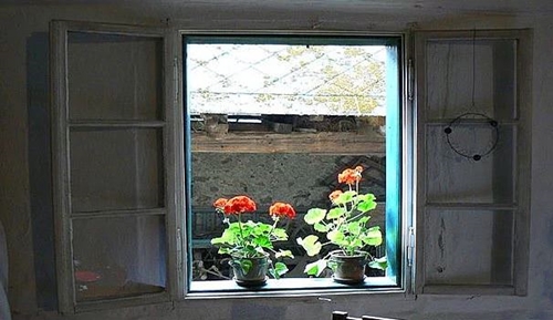 Foto - İnanılmaz tesadüfler