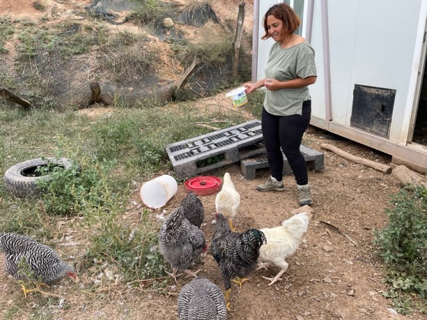 Foto - İnanılmaz yöntem! Organik çöpten bedavaya protein