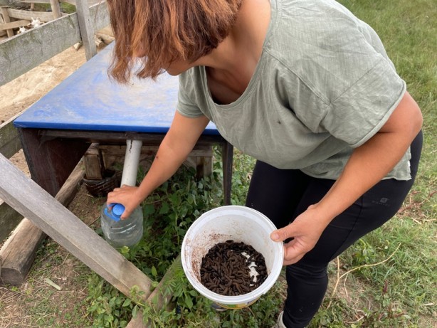 Foto - İnanılmaz yöntem! Organik çöpten bedavaya protein