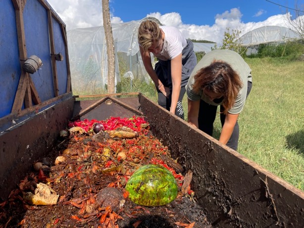 İnanılmaz yöntem! Organik çöpten bedavaya protein