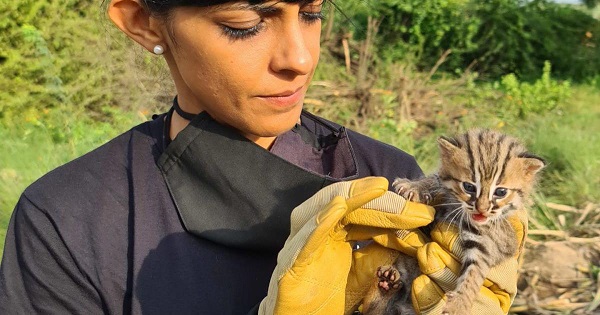 Foto - İnanmakta güçlük çekeceksiniz! Gerçekte ne kadar büyük olduğunu bilmediğimiz 10 şey