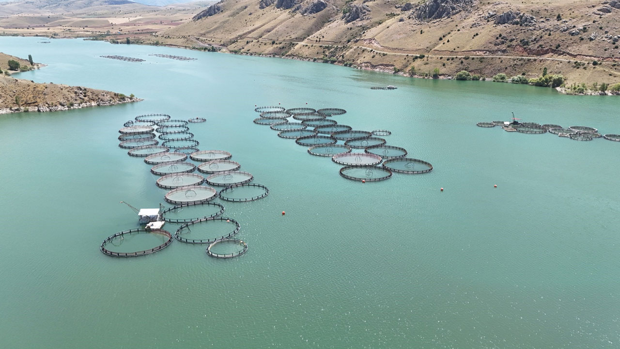 Foto - İnanması güç ama doğru! Denizi olmayan Erzincan'dan Karadeniz'de balık yolculuğu