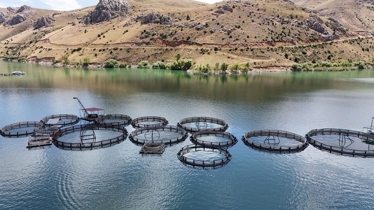 İnanması güç ama doğru! Denizi olmayan Erzincan'dan Karadeniz'de balık yolculuğu