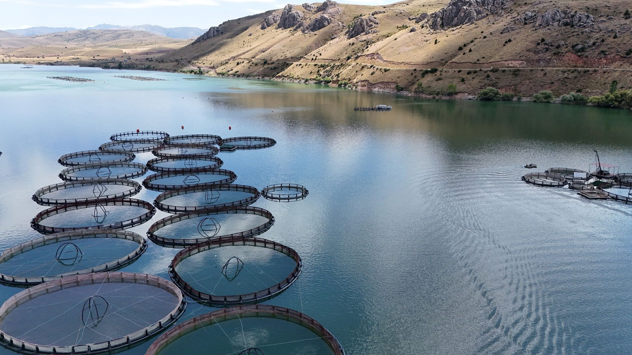 Foto - İnanması güç ama doğru! Denizi olmayan Erzincan'dan Karadeniz'de balık yolculuğu