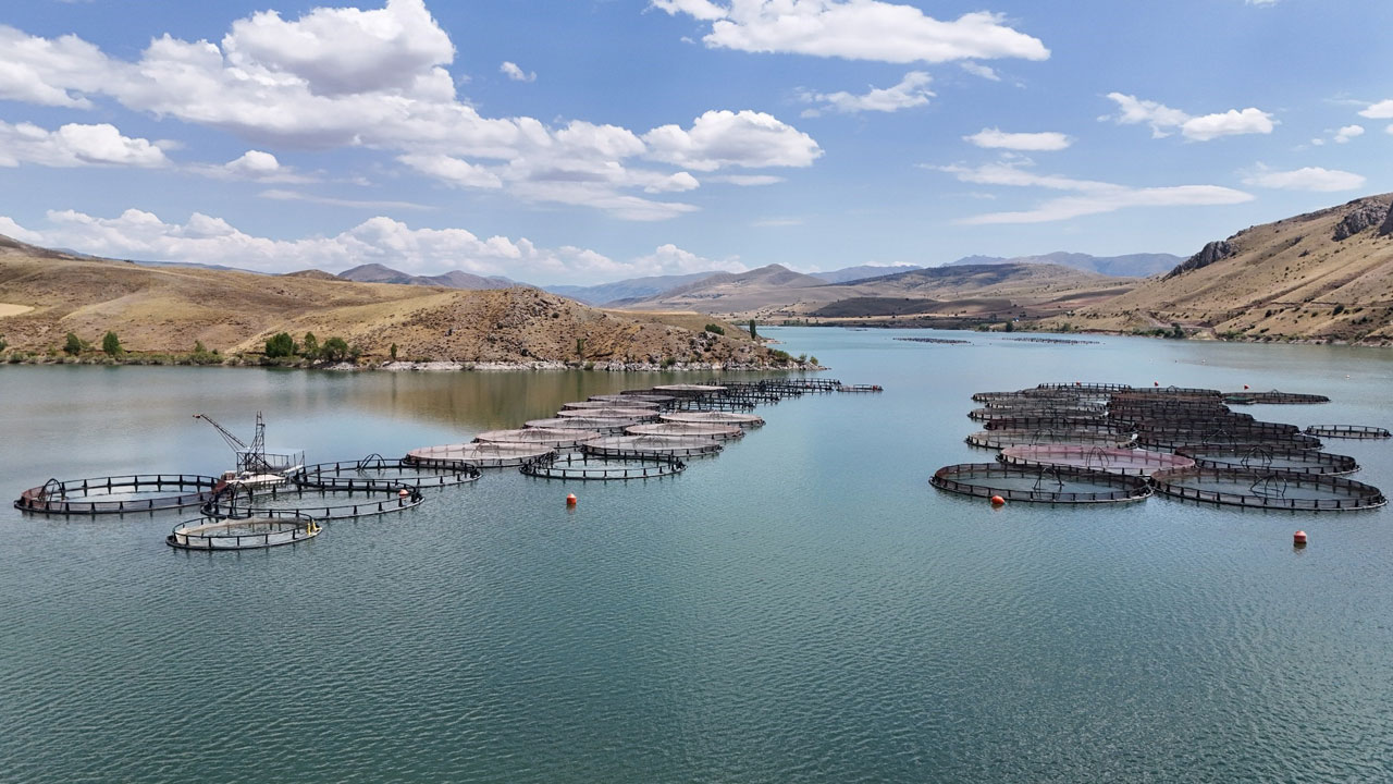Foto - İnanması güç ama doğru! Denizi olmayan Erzincan'dan Karadeniz'de balık yolculuğu