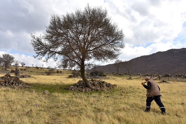 Foto - İnanması güç ama gerçek! Selami Amca 38 yıldır koca köyde tek başına yaşıyor