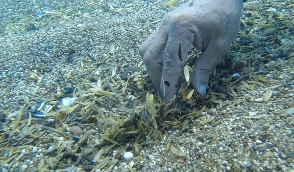 Foto - İnanması güç bu hale geldi! Denizin altında birikenler hayrete düşürdü