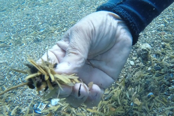 Foto - İnanması güç bu hale geldi! Denizin altında birikenler hayrete düşürdü