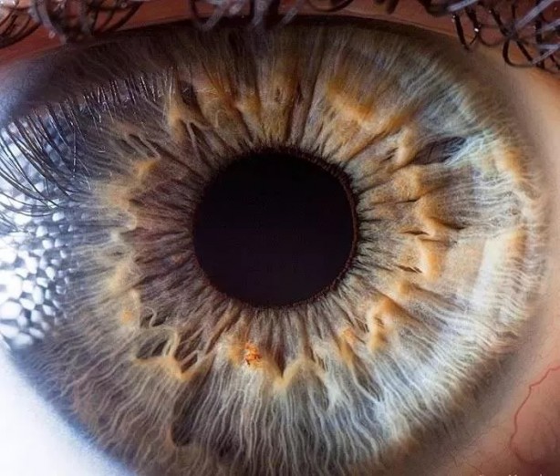 Foto - İnanması zor ancak bu kareler gerçek!