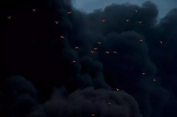 Foto - İnanması zor ancak bu kareler gerçek!