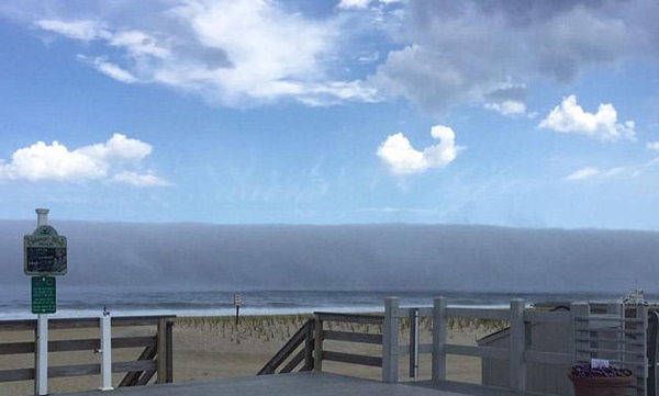 Foto - İnanmayacaksınız ama bu fotoğraflar gerçek!