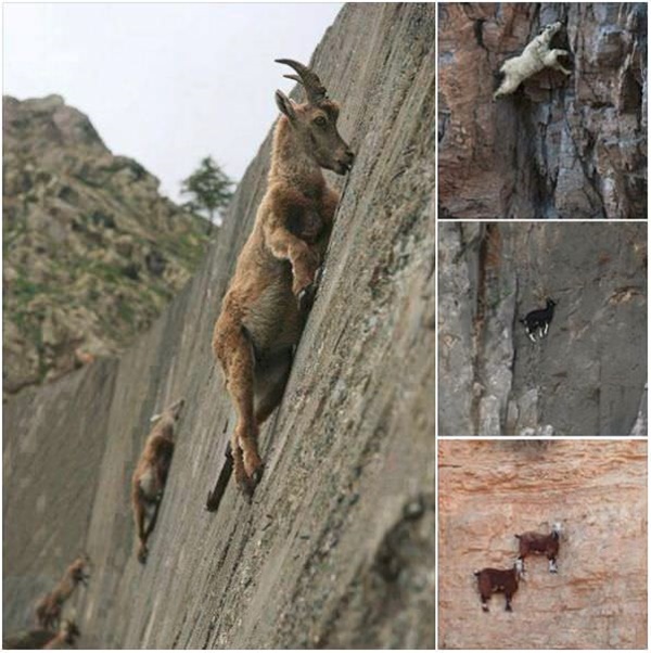 Foto - İnanmayacaksınız ama bu fotoğraflar gerçek!