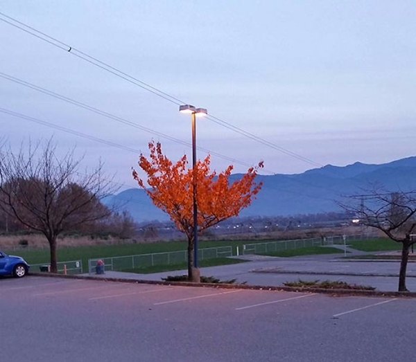 Foto - İnanmayacaksınız ama bu fotoğraflarda hiç Photoshop yok!