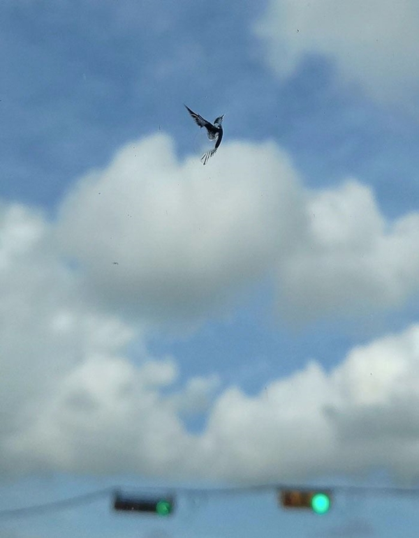 Foto - İnanmayacaksınız ama bu fotoğraflarda hiç Photoshop yok!