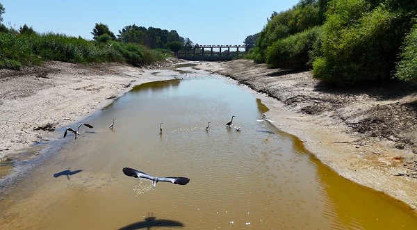 Foto - İnatçı filmi orada çekilmişti! Tarihi köprünün son hali