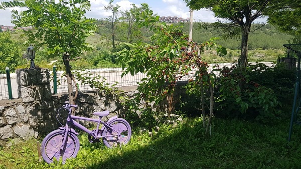 Foto - İnceliğin böylesi| Bakın dut ağacına ne asıldı
