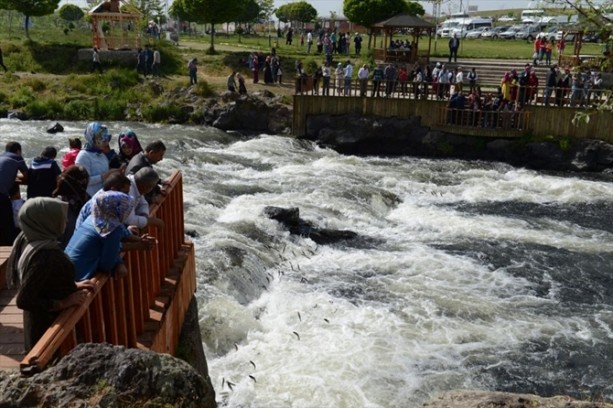 Foto - İnci kefalinden görsel şölen