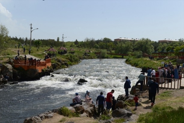 Foto - İnci kefalinden görsel şölen