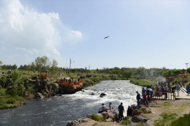 Foto - İnci kefalinden görsel şölen