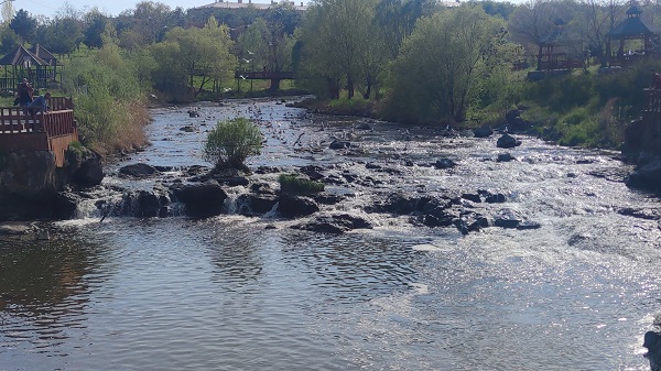 Foto - İnci kefalinin unutulmaz yolculuğu