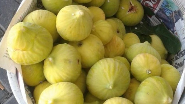 Foto - İncir demir eksikliğini gideriyor!