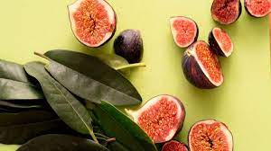 Foto - İncir sütü: Bu adı herkes biliyor! Dikkat, siz de baş döndüren faydalarına şaşıracaksınız! Mest etti!