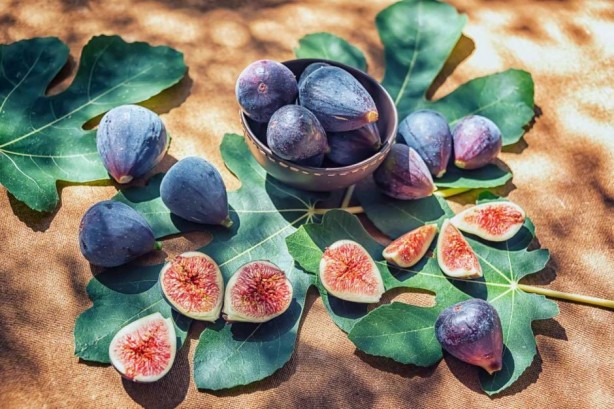 Foto - İncir sütü: Bu adı herkes biliyor! Dikkat, siz de baş döndüren faydalarına şaşıracaksınız! Mest etti!