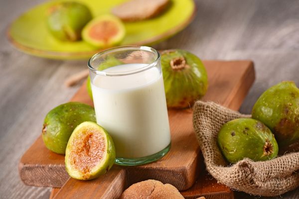 Foto - İncir sütü: Bu adı herkes biliyor! Dikkat, siz de baş döndüren faydalarına şaşıracaksınız! Mest etti!