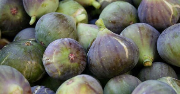 Foto - İncir tam bir şifa deposu! O hastalıklarla savaşıyor