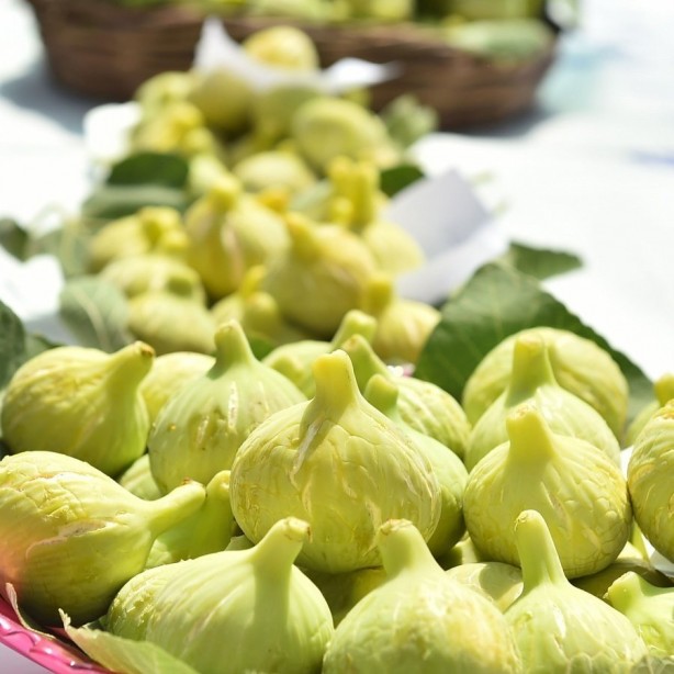 Foto - İncir tam bir şifa deposu! O hastalıklarla savaşıyor