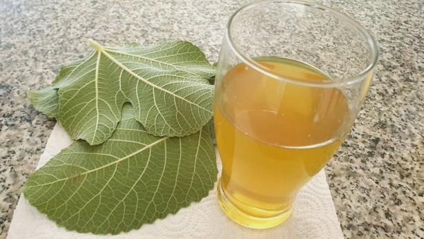 Foto - İncir yaprağı çayı şifa saçıyor! Kanser ve kalp hastalıklarını engelliyor