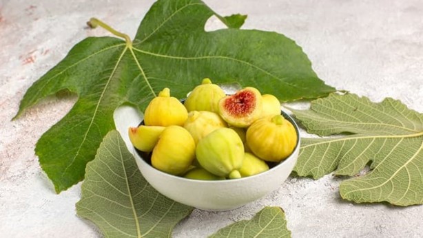 Foto - İncir yaprağı çayı şifa saçıyor! Kanser ve kalp hastalıklarını engelliyor