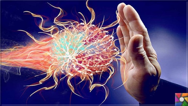 Foto - İncir yaprağı: Her şey bu bitkide gizli! Meğer sağlık için servetmiş, Bu tam bir şifa deposu! Çayı nasıl yapılır?