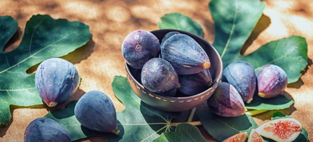 Foto - İncir yaprağı ne işe yarar? Merak uyandırdı Bin bir derde deva adeta silah! Yeter doğru teknik kullanın