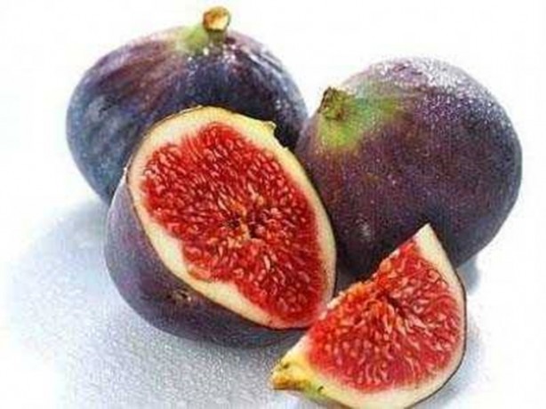 Foto - İncirin yararları saymakla bitmiyor