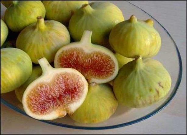 Foto - İncirin yararları saymakla bitmiyor