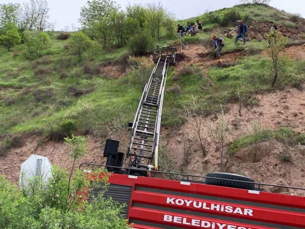 İnek, dağ yamacında mahsur kaldı, vinç çağrıldı