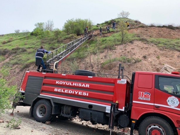 Foto - İnek, dağ yamacında mahsur kaldı, vinç çağrıldı