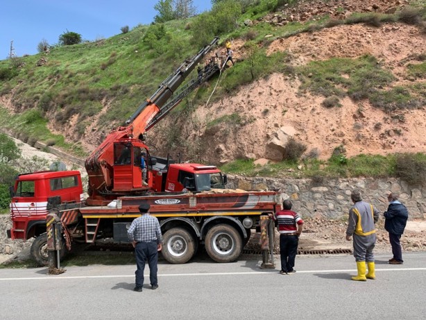 Foto - İnek, dağ yamacında mahsur kaldı, vinç çağrıldı