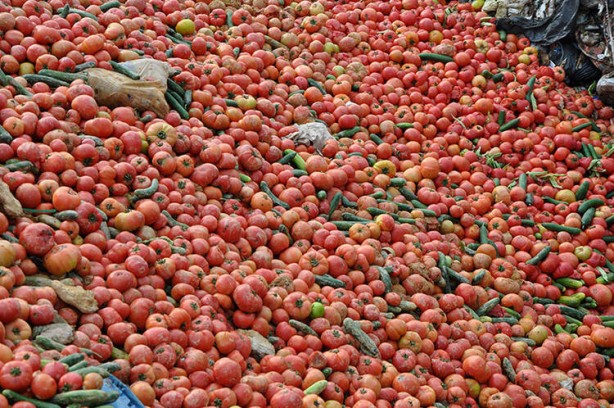 Foto - İnfiale neden olmuştu! Çöpe dökülen sebzelerle ilgili açıklama: Sofraya uygun değiller