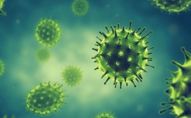 Foto - İnfluenza ve RSV uyarısı! Kabus geri mi geliyor