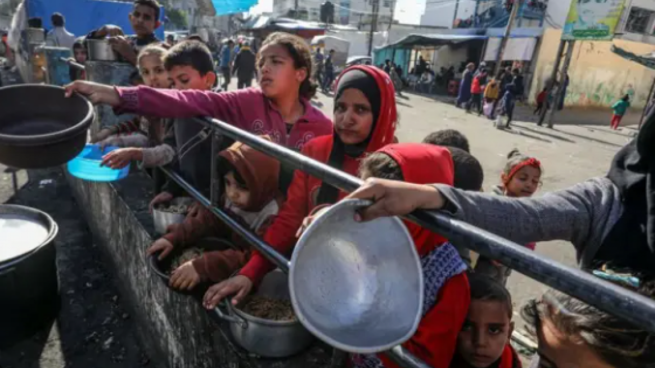Foto - İngiliz doktor Graeme Groom’un anlattıkları, insanlığın yere çakıldığı bir utanç vesikasıdır