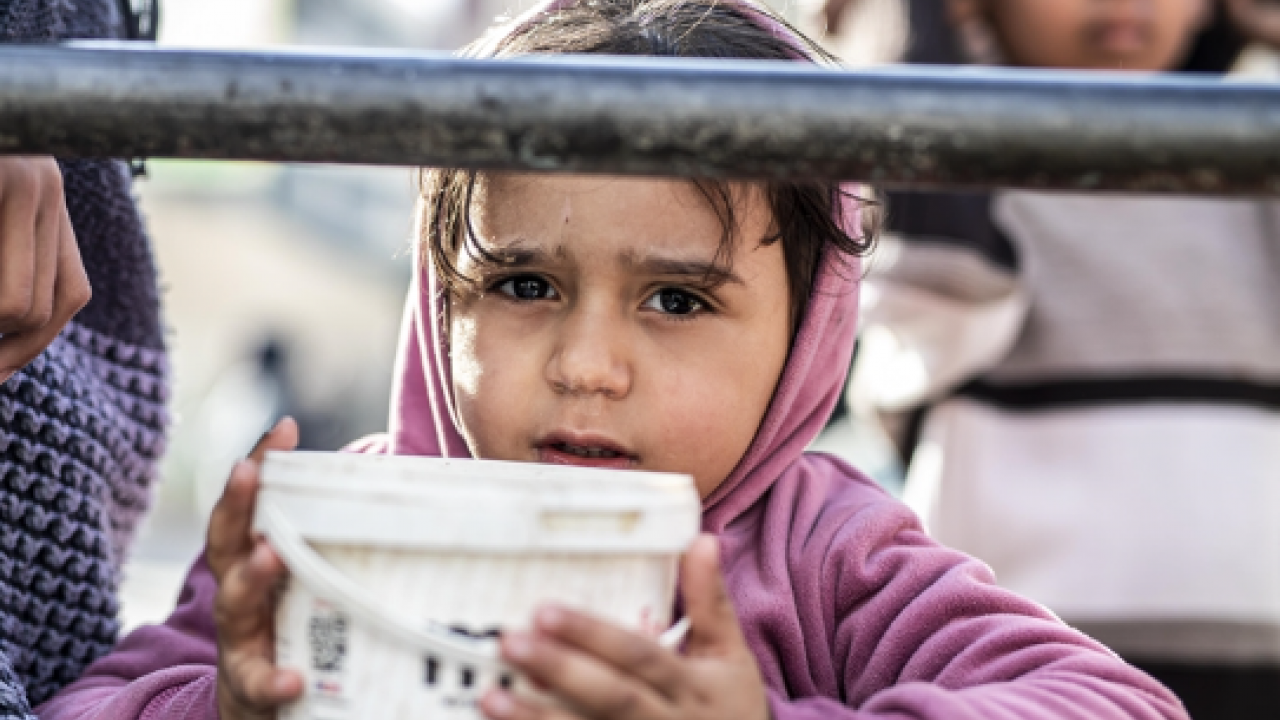Foto - İngiliz doktor Graeme Groom’un anlattıkları, insanlığın yere çakıldığı bir utanç vesikasıdır