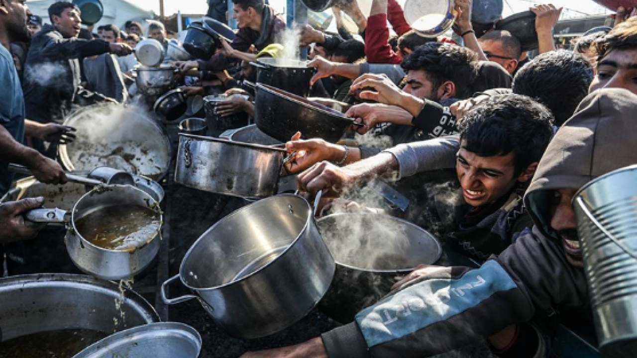 Foto - İngiliz doktor Graeme Groom’un anlattıkları, insanlığın yere çakıldığı bir utanç vesikasıdır